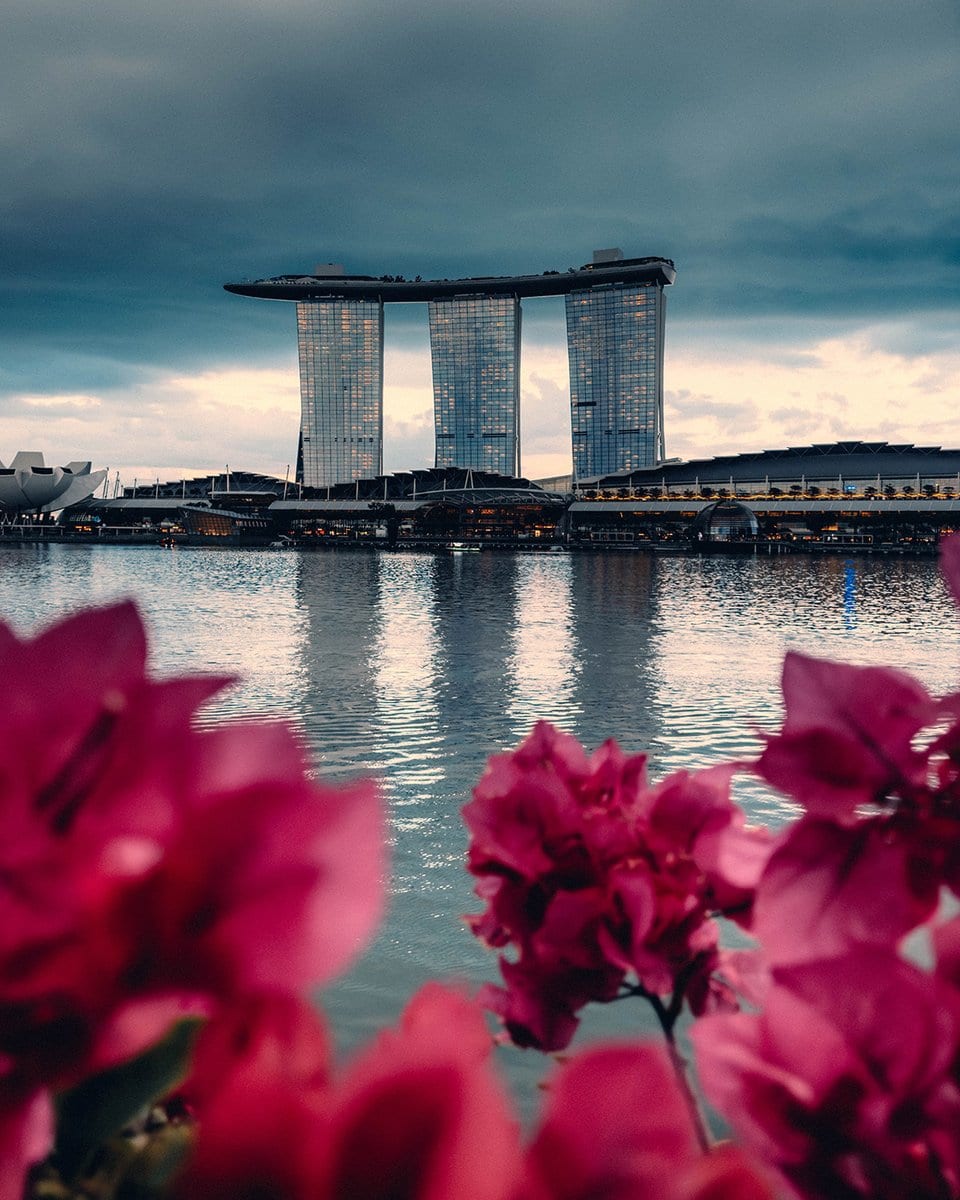 Strategic Choices for the 2026 Singapore Grand Prix