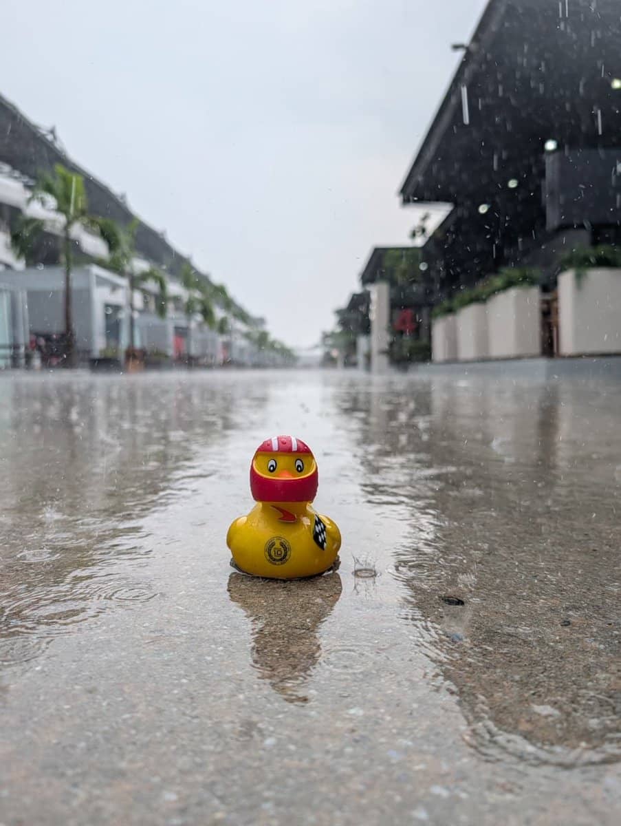 Winners and Losers from the Bahrain GP in Malaysia